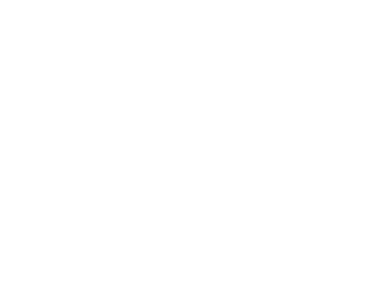 Northern Ireland Housing Executive